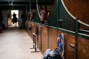Which Type of Horse Barn Is Right for You?