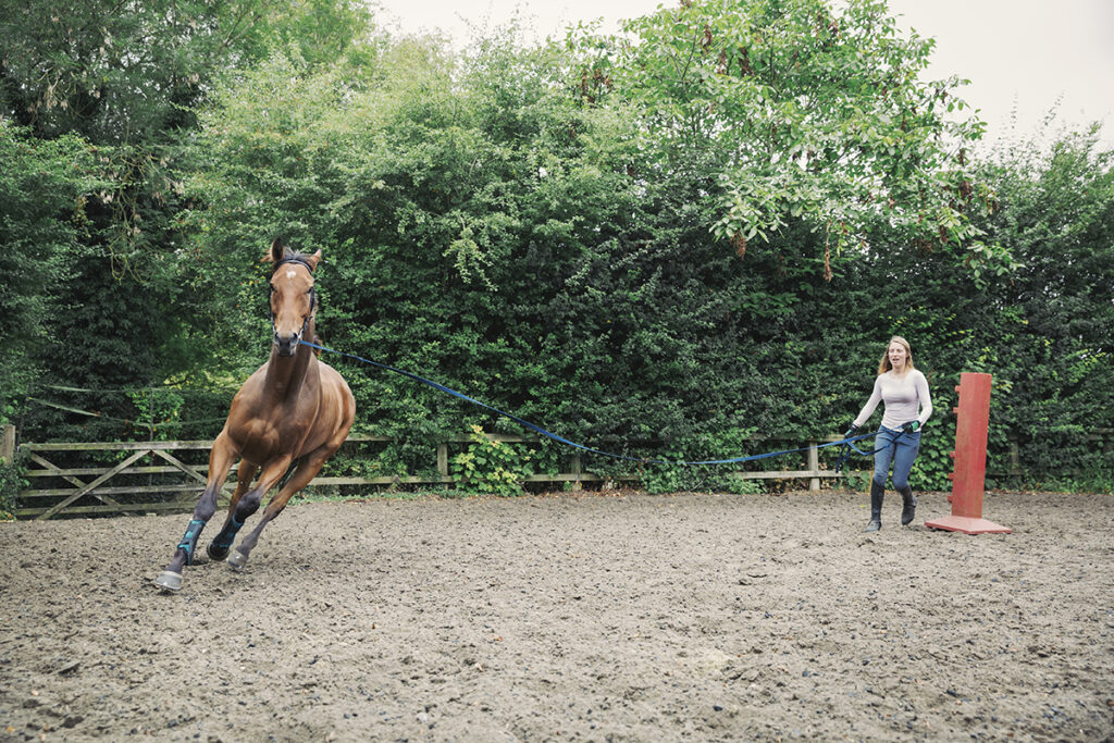 Spring Turnout Tips for Your Horse