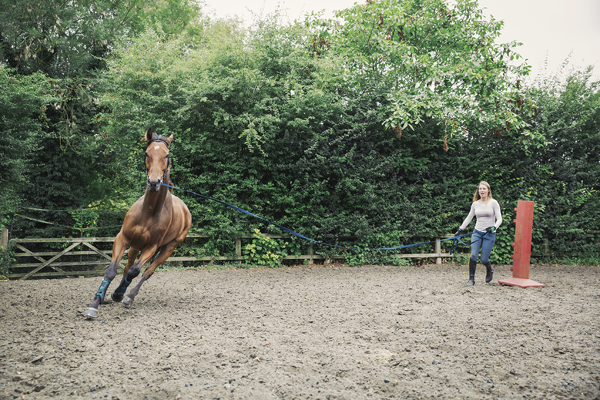 Spring Turnout Tips for Your Horse